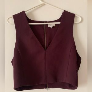 Aritzia Wilfred Cropped Purple/Burgundy Top